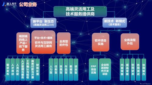 軟件及互聯(lián)網高端靈活用工與技術服務提供商