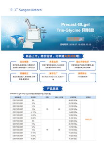 生工生物技術交流 把握Tris預制膠促銷，提升生命科學研究效率